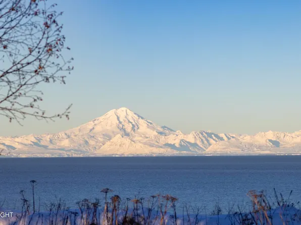 11179 Crestline Ln, Clam Gulch, AK 99568