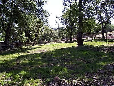 11.55 acres fenced for horses
