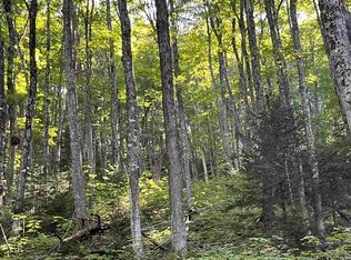 0 Dexter Mountain Rd, Glover, VT 05839