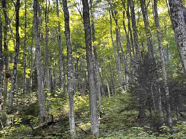 00 Dexter Mtn Road, Glover, VT 05875
