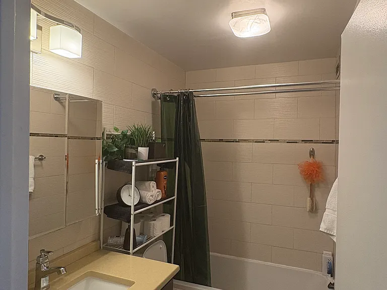 1560 N Sandburg Ter #415J — Photo 15