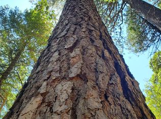 10370 Wentworth Springs Rd, Georgetown, CA 95634