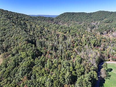 2nd image of TRACT 1 Shoal Creek Rd