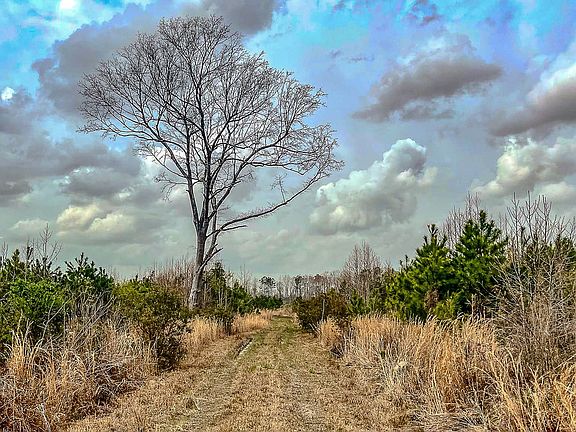 Compass South Land Sales South Carolina City Farm 60 4