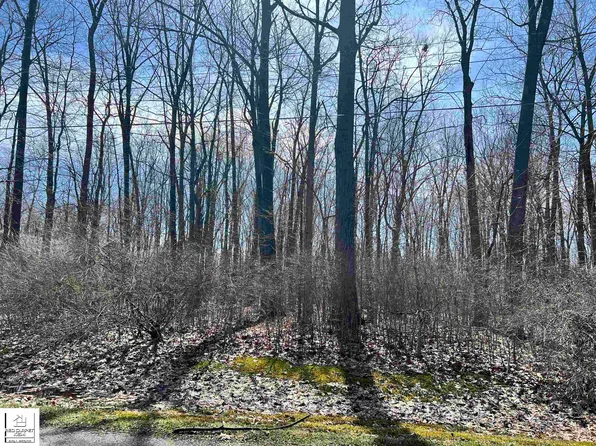 Schoolcraft Dr, Davison, MI 48423