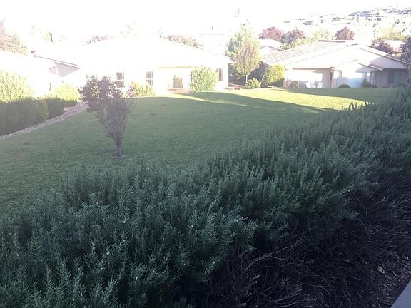 Backyard View