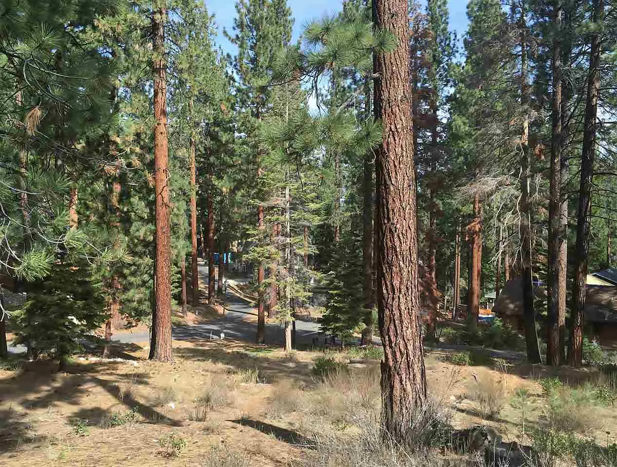 202 S Meadow Rd photo 1