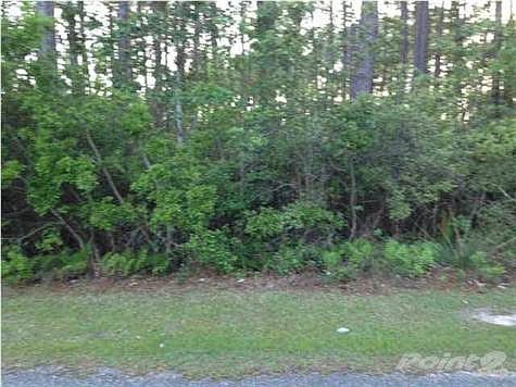 3rd image of 4597 Bayside Dr