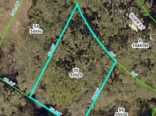 0 Tiger St, Dade City, FL 33523