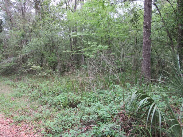 0 Manecke Rd, Brooksville, FL 34601