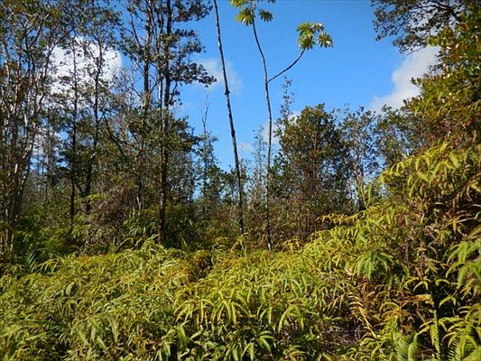 1st image of Road 11 Pulelehua Lot 6010