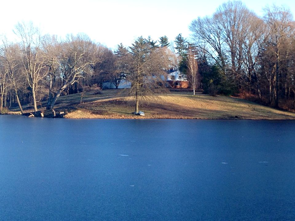 View of back yard and house 