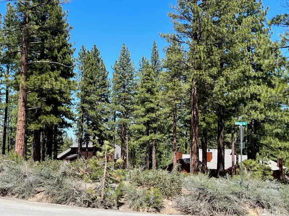 250 Douglas Fir Dr, Reno, NV 89511