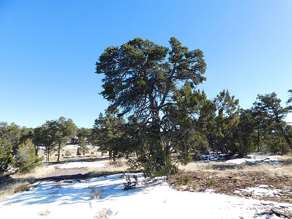 4th image of 10 Canyon Creek Rd