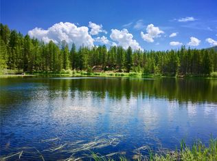 48 W Dream Home Dr, Leadville, CO 80461