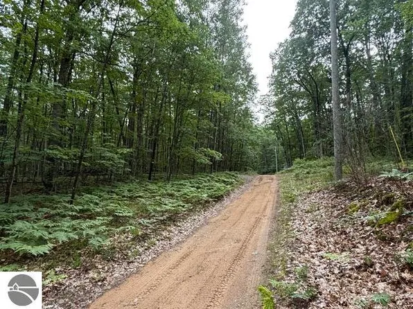 V/l Beechwood Dr, Roscommon, MI 48653