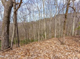 Low Sunset Dr, Sevierville, TN 37876