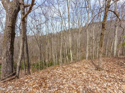 Low Sunset Dr, Sevierville, TN, 37876