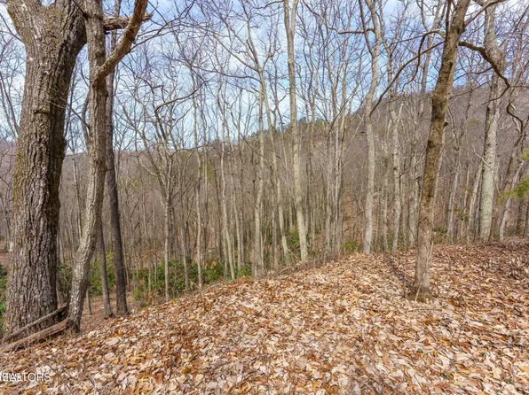 Low Sunset Dr, Sevierville, TN 37876