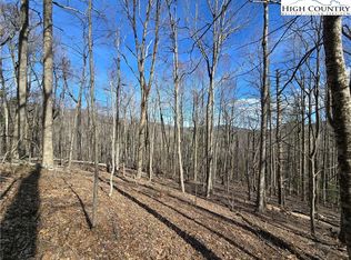 Tbd Parkway Estates Rd, Laurel Springs, NC 28644