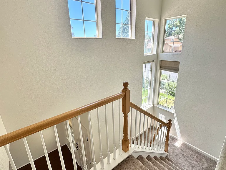 2520 Napoli Dr — Photo 15