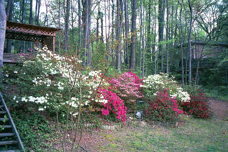 3543 Hidden Acres Dr — Photo 28