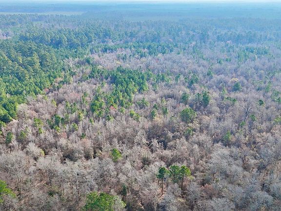 3rd image of 0 Brushy Creek Rd