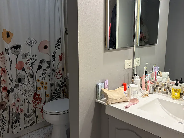 401 W Webster Ave #408 — Photo 11