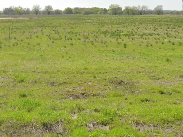 Tbd Hog Town Rd, Collinsville, TX 76233