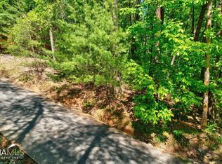 Lth78 Mountain Oak Rd, Ellijay, GA 30536