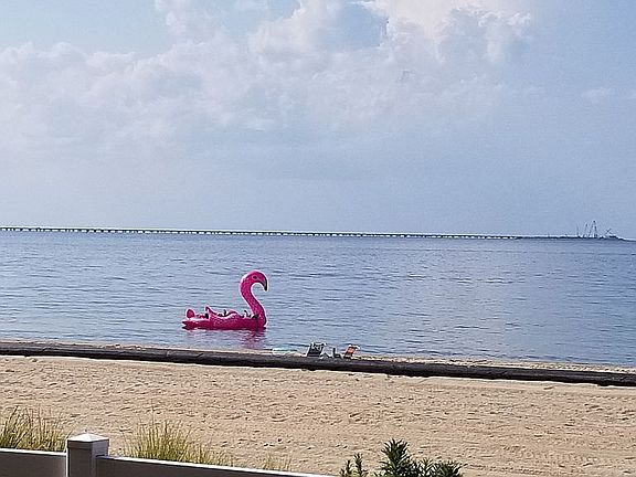 Beach Fun