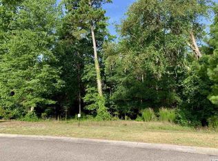 290 Rivers Edge Dr, Conway, SC 29526