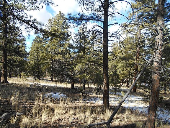 5th image of 223 Sioux Trl