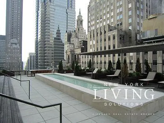 Rented by NY Living Solutions | media 31
