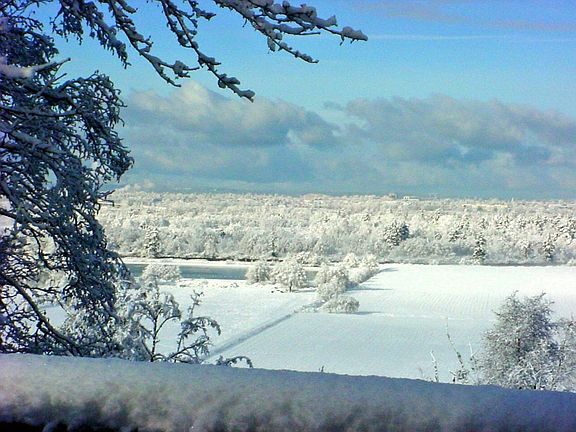 winter view from home