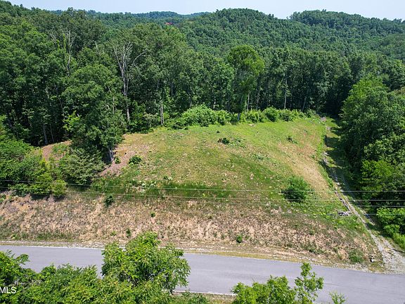 2nd image of 52 Fork Horn Lot 52