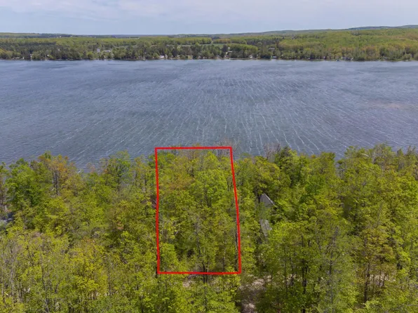 10448 W Munro Lake Dr, Levering, MI 49755