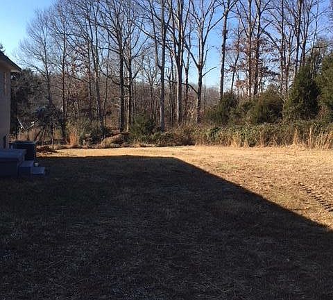 back yard