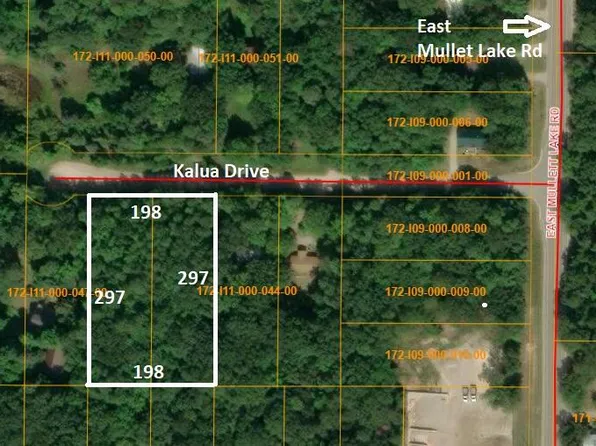 4593&-4613 Kalua Dr, Indian River, MI 49749