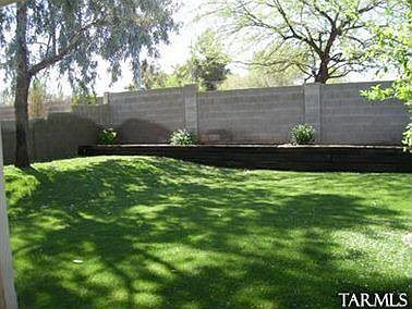 Backyard - new sod