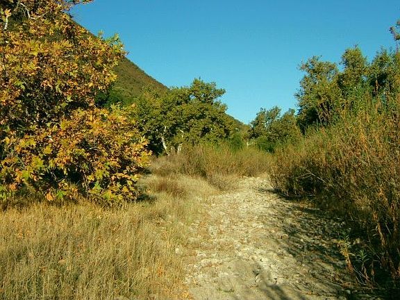 River Bed in Front 