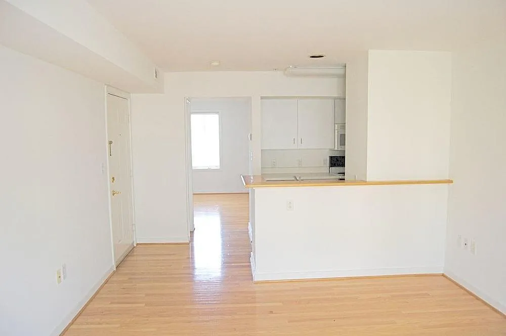 1 bed, 430 sqft, $1,675 — Photo 2