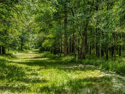 County Road 443 Tract 2, Snook, TX, 77878