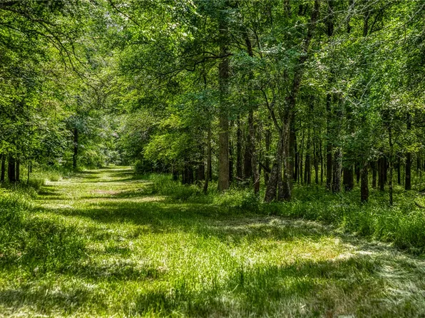 County Road 443 Tract 2, Snook, TX 77878