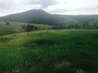 109 Lincoln Ave, Victor, CO 80860
