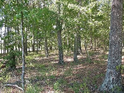 2nd image of 123 E Sprauge Junction 3 One Acre Lots