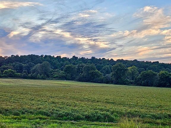 4th image of 207 County Road 478