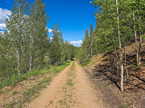 454 Smith Road, Bailey, CO 80421