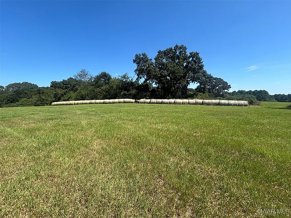 4th image of 355 County Road 5522