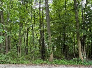 Aston Ave, Akron, OH 44319